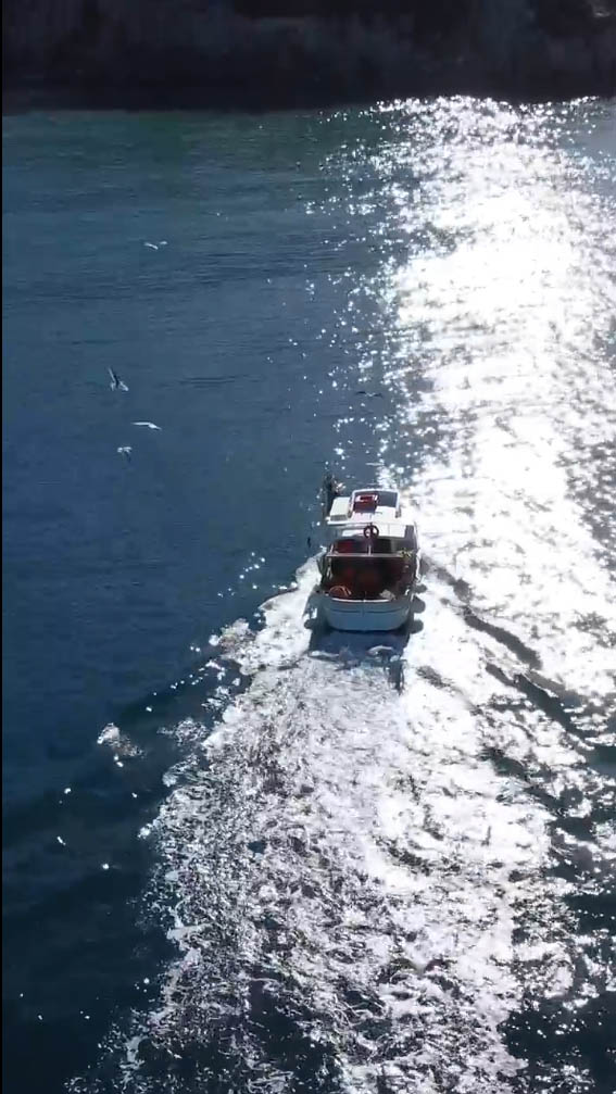 Cilento